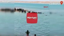 Şanlıurfa'da baraj gölüne giren 2 arkadaş boğuldu