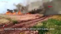 Gaziantep Nurdağı'nda 35 dönüm ekili buğday yandı