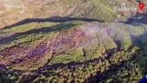 Balıkesir Burhaniye'de orman yangını