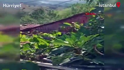 Sultangazi'de ormanlık alanda yangın çıktı