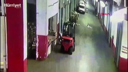 Bayrampaşa'da yavru kediyi tekmeleyerek öldüren cani kamerada