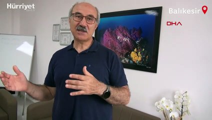Marmara Denizi'nde yeni tehlike! Deniz altı yaşamı yok edebilir