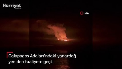 Galapagos Adaları'ndaki yanardağ yeniden faaliyete geçti