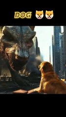 DAG vs. Lion: Key Differences You Should Know 🦁