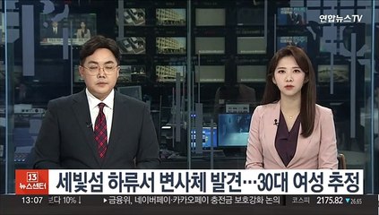 세빛섬 하류서 변사체 발견…30대 여성 추정