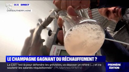 Comment le réchauffement climatique crée (pour le moment) des conditions idéales pour le champagne