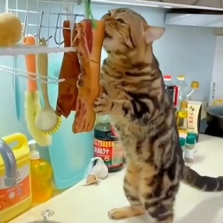 Eat everything 
