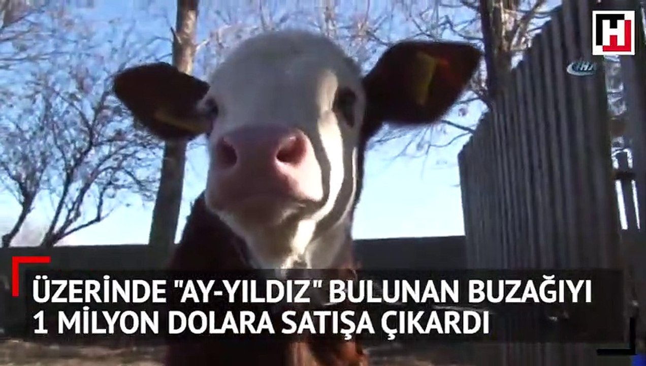 Samsunlu 'Ay' 1 milyon dolar!