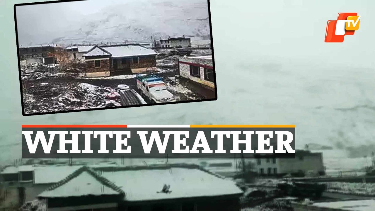 Watch | Snowfall In Upper Reaches Of Himachal