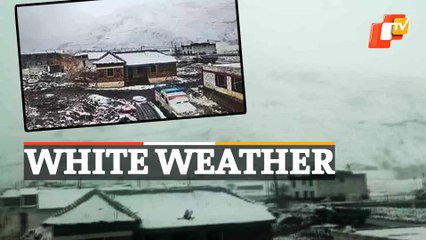 Watch | Snowfall In Upper Reaches Of Himachal