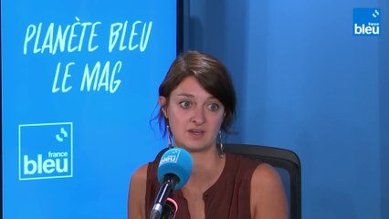 Voilà comment 95% des cochons sont élevés en France avant d'arriver dans votre assiette
