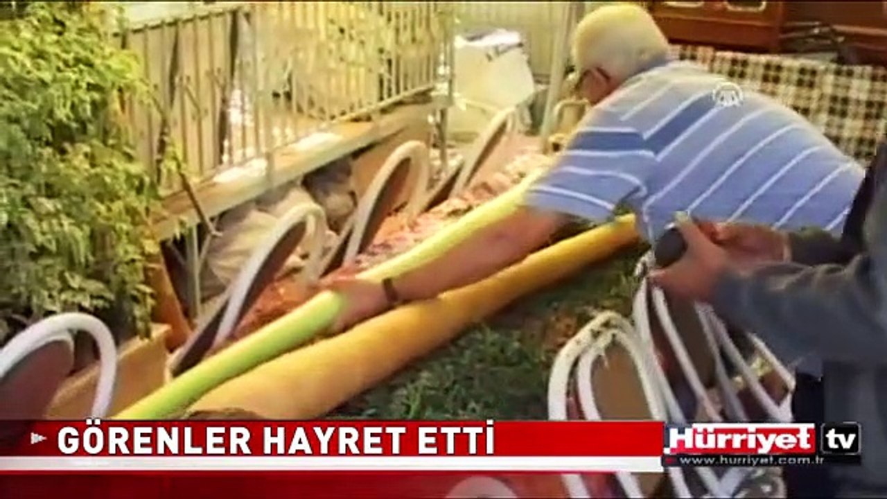 2 METRE 20 SANTİM KABAK