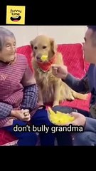 Watch till the end /comedy #comedy #funny #ashortaday #shorts #rupal #td