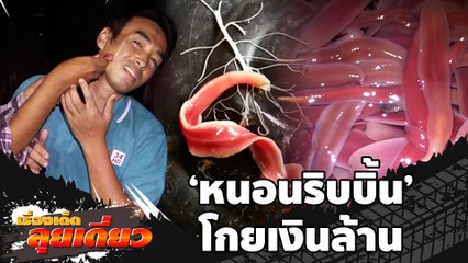 เรื่องเด็ดลุยเดี่ยว | โกยเงินหลักล้าน 'หนอนริบบิ้น' จ.สมุทรสงคราม  | 13 ต.ค.65
