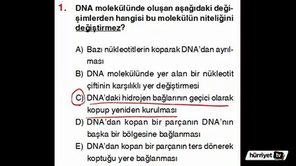 BİYOLOJİ SORULARININ ÇÖZÜMLERİ