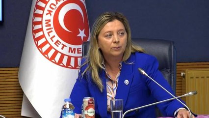 Çağatay Kılıç: "Abd ile Havanın Basında Sesi Olumsuz Çıkanların Yansıtmak İstediği Kadar Olumsuz Olmadığını Gördüm"