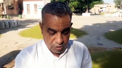 मूंग को लग रहा सरकारी उदासीनता का 'घुन'