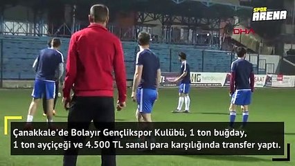 Ayçiçeği, buğday ve sanal para ile transfer!