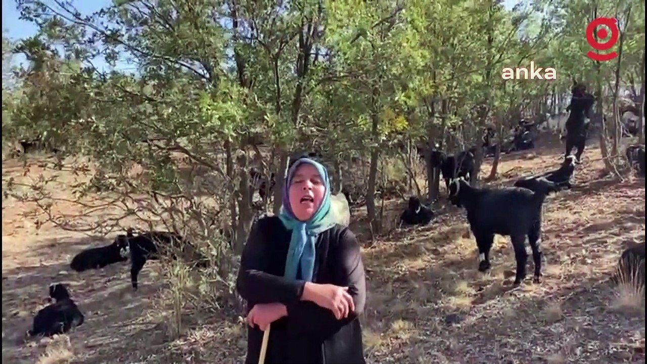 Yörüklerin yaylalardan düze dönüş yolculuğu: "Bu göç devam edecek, sonsuza kadar”