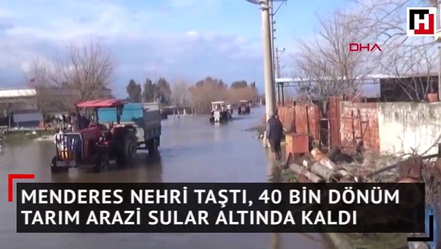 Menderes nehri taştı, 40 bin dönüm tarım arazi sular altında kaldı
