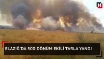Elazığ'da 500 dönüm ekili tarla yandı