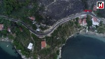 Marmara Adası'ndaki orman yangınında 80 hektar kül oldu