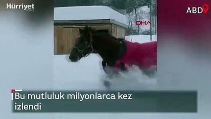 Atın, kar mutluluğu milyonlarca kez izlendi