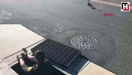Su kanalında mahsur kalan ördek yavrularını polis kurtardı