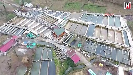 Rize Köyündeki çiftlikten Japonya'ya somon ihraç ediyor