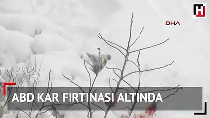 ABD kar fırtınası altında