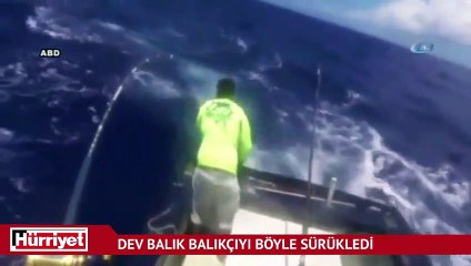 Dev balık balıkçıyı böyle sürükledi