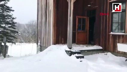 Ördeklerin kar keyfini soğuk kaçırdı