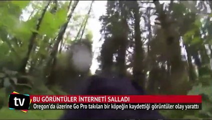 Bu görüntüler interneti salladı