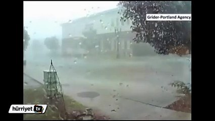 ABD'de fırtına ağaçları yerinden söktü