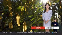 [날씨] 15도 안팎 큰 일교차…내륙 짙은 안개 유의