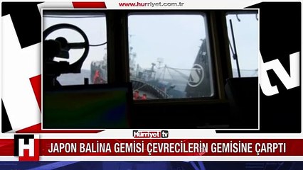 JAPON BALİNA AVCILARI ÇEVRECİLERİN GEMİSİNE ÇARPTI