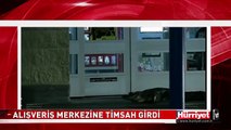 ALIŞVERİŞ MERKEZİNE TİMSAH GİRDİ