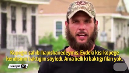 Yeni doğum yapan köpek kurtarılacağını anlayınca bakın ne yaptı