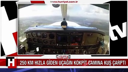 ABD'DE UÇAĞIN KOKPİT CAMINA KUŞ ÇARPTI