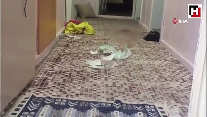 Cezaevinden izinli çıkıp eşini 20 yerinden bıçakladı