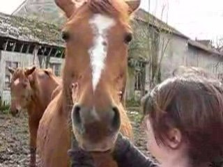 koba blasé 15 mars 08