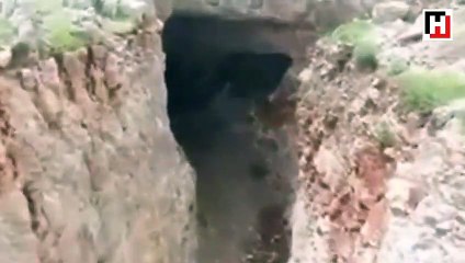 Abdullah Ağar paylaştı: "Pes ötesi bir şey bu! Afrin kırsalından"