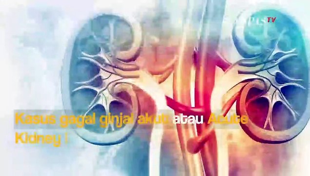 Ratusan Anak di Indonesia Terserang Gagal Ginjal Misterius, Ini Ciri-Cirinya