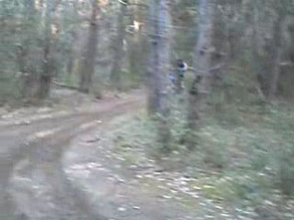 dirt 250cc