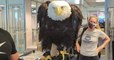 États-Unis : un énorme aigle à tête blanche crée l'événement lors de son passage dans un aéroport