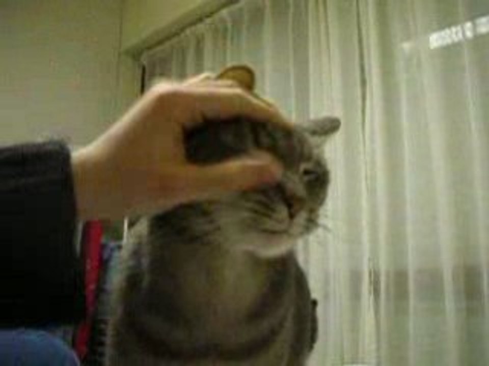 Piaillou