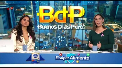 García Toma afirma que denuncia constitucional contra Castillo no es el camino: "lo atendible es la vacancia"