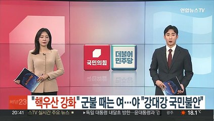 "핵우산 획기적 강화" 군불 때는 여…야 "강대강 국민불안"