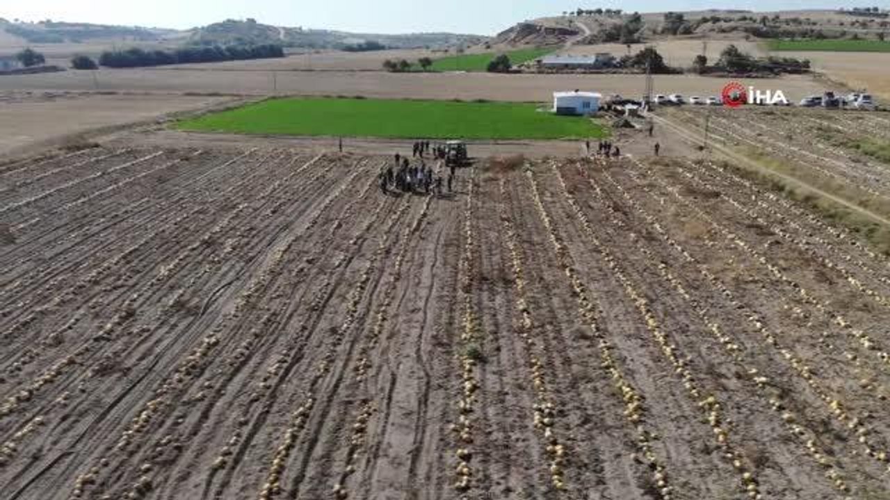 Nevşehir haberleri | Vali Becel: "Çerezlik kabak çekirdeğinde, Türkiye'nin yüzde 31'ini Nevşehir üretiyor"