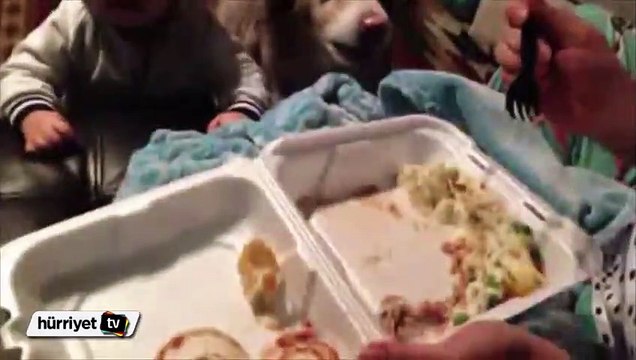 Sizce hangisi daha aç?